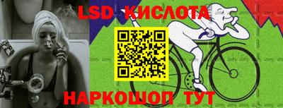 стафф Камышлов