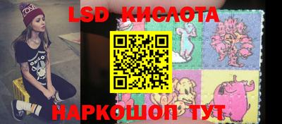 стафф Камышлов
