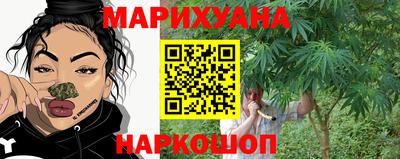 стафф Камышлов