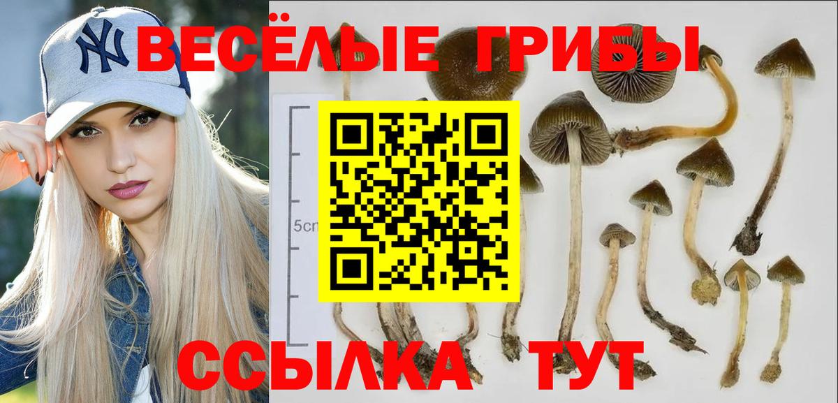 Галлюциногенные грибы ЛСД Долгопрудный