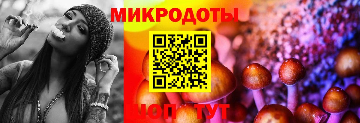Псилоцибиновые грибы MAGIC MUSHROOMS  Вход с VPN  Долгопрудный  Псилоцибиновые грибы MAGIC MUSHROOMS 